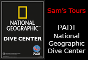 Palau Packages